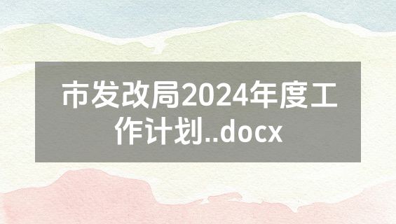 市发改局2024年度工作计划..docx