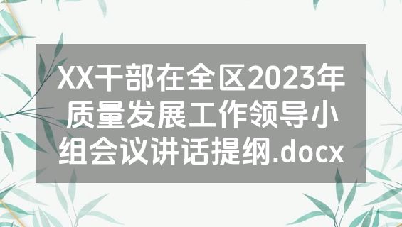 XX干部在全区2023年质量发展工作领导小组会议讲话提纲.docx