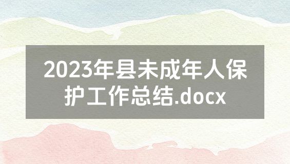 2023年县未成年人保护工作总结.docx