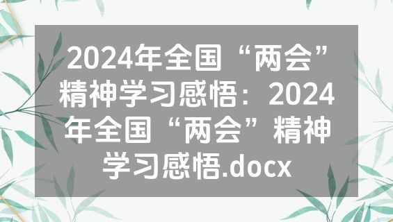 2024年全国“两会”精神学习感悟：2024年全国“两会”精神学习感悟.docx
