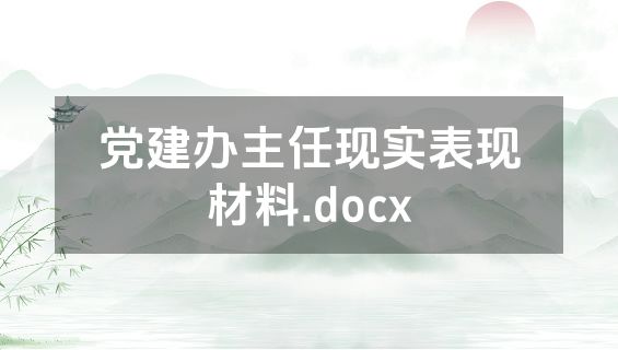 党建办主任现实表现材料.docx