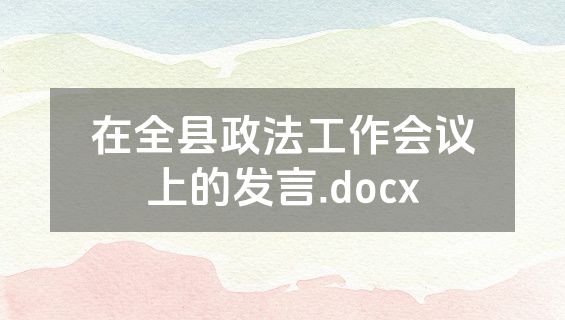 在全县政法工作会议上的发言.docx