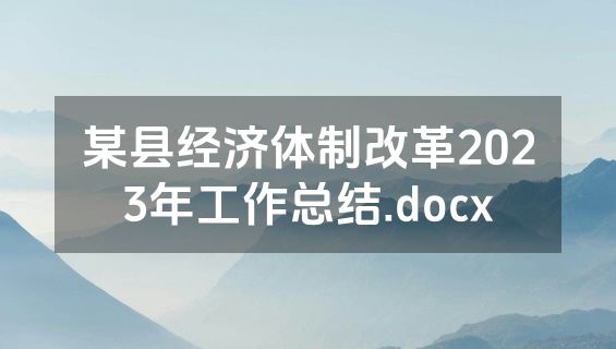 某县经济体制改革2023年工作总结.docx