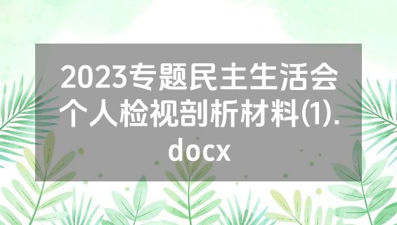 2023专题民主生活会个人检视剖析材料(1).docx