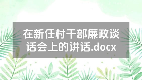 在新任村干部廉政谈话会上的讲话.docx