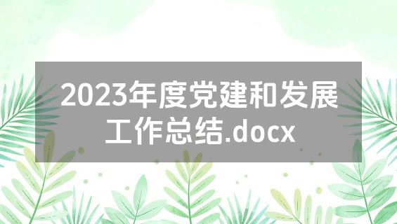 2023年度党建和发展工作总结.docx