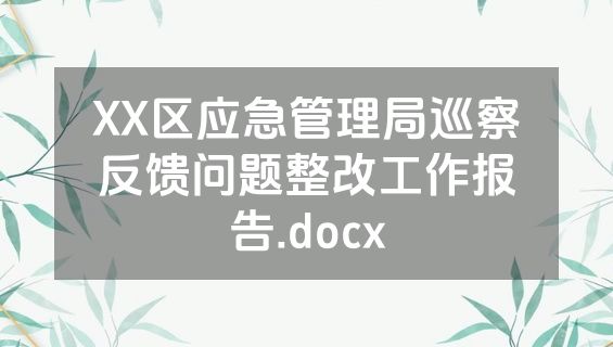 XX区应急管理局巡察反馈问题整改工作报告.docx