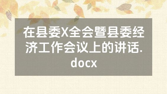 在县委X全会暨县委经济工作会议上的讲话.docx