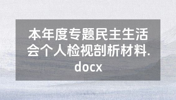 本年度专题民主生活会个人检视剖析材料.docx