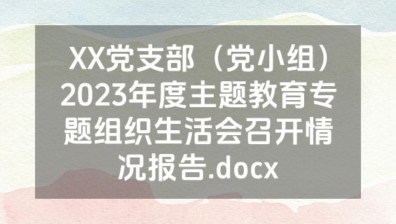 XX党支部（党小组）2023年度主题教育专题组织生活会召开情况报告.docx
