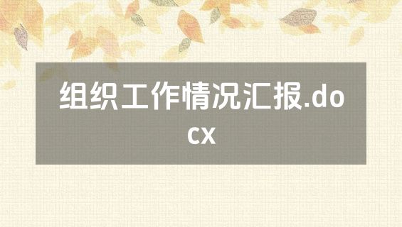 组织工作情况汇报.docx