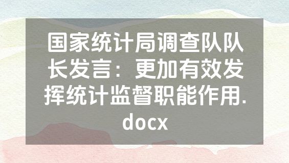 国家统计局调查队队长发言：更加有效发挥统计监督职能作用.docx