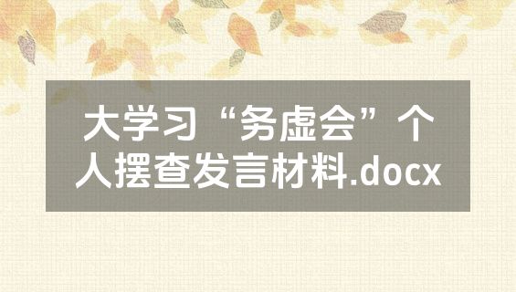 大学习“务虚会”个人摆查发言材料.docx