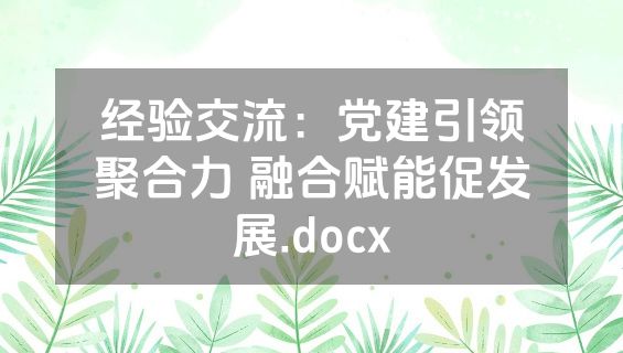 经验交流：党建引领聚合力 融合赋能促发展.docx