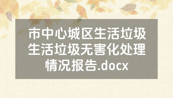 市中心城区生活垃圾生活垃圾无害化处理情况报告.docx