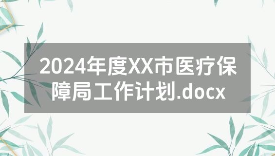 2024年度XX市医疗保障局工作计划.docx