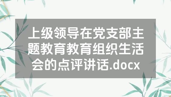 上级领导在党支部主题教育教育组织生活会的点评讲话.docx