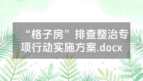 “格子房”排查整治专项行动实施方案.docx