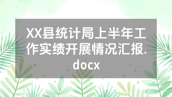 XX县统计局上半年工作实绩开展情况汇报.docx
