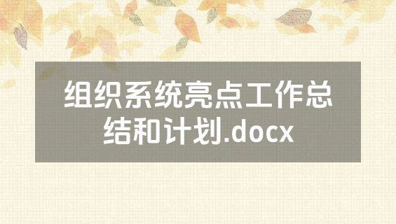 组织系统亮点工作总结和计划.docx