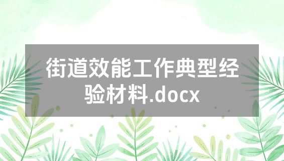 街道效能工作典型经验材料.docx