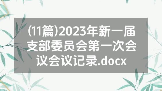 (11篇)2023年新一届支部委员会第一次会议会议记录.docx