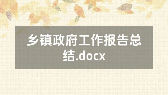 乡镇政府工作报告总结.docx