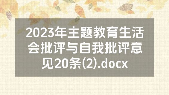 2023年主题教育生活会批评与自我批评意见20条(2).docx