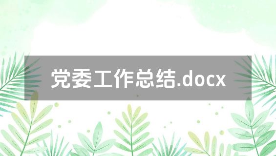 党委工作总结.docx