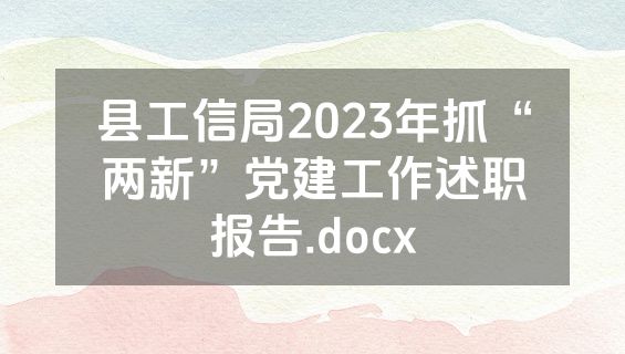 县工信局2023年抓“两新”党建工作述职报告.docx