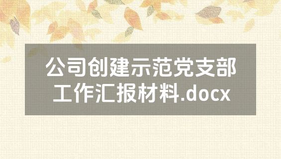 公司创建示范党支部工作汇报材料.docx