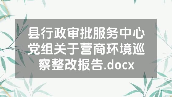 县行政审批服务中心党组关于营商环境巡察整改报告.docx