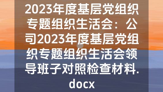 2023年度基层党组织专题组织生活会：公司2023年度基层党组织专题组织生活会领导班子对照检查材料.docx