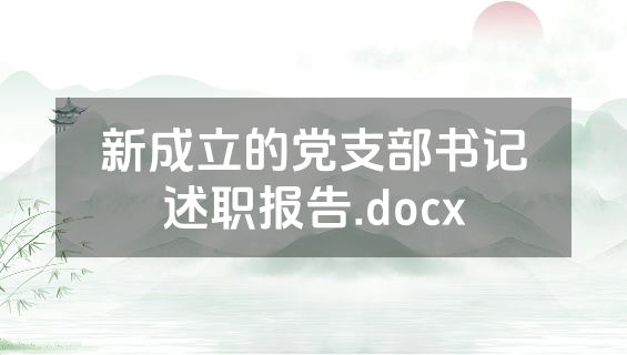 新成立的党支部书记述职报告.docx