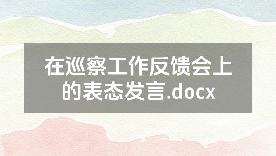 在巡察工作反馈会上的表态发言.docx