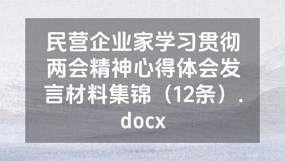 民营企业家学习贯彻两会精神心得体会发言材料集锦（12条）.docx