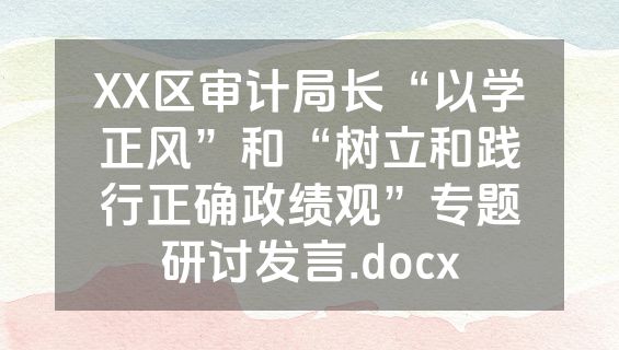 XX区审计局长“以学正风”和“树立和践行正确政绩观”专题研讨发言.docx