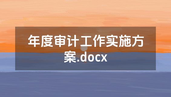 年度审计工作实施方案.docx