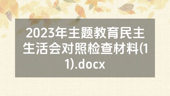 2023年主题教育民主生活会对照检查材料(11).docx