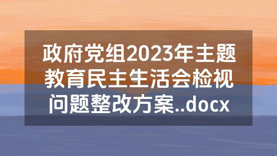 政府党组2023年主题教育民主生活会检视问题整改方案..docx