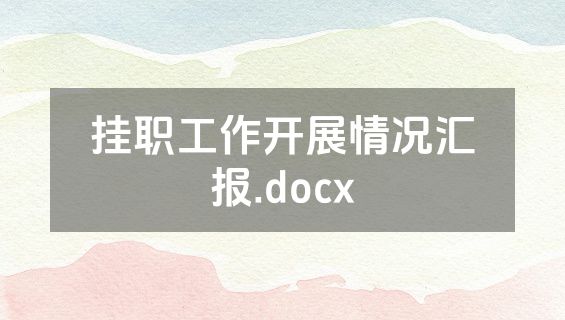 挂职工作开展情况汇报.docx