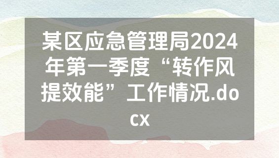 某区应急管理局2024年第一季度“转作风提效能”工作情况.docx