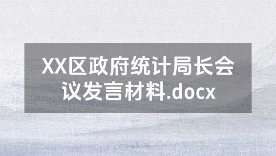 XX区政府统计局长会议发言材料.docx