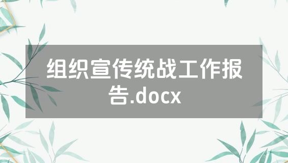 组织宣传统战工作报告.docx