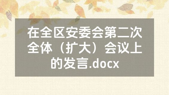 在全区安委会第二次全体（扩大）会议上的发言.docx