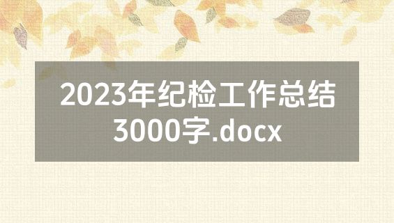 2023年纪检工作总结3000字.docx