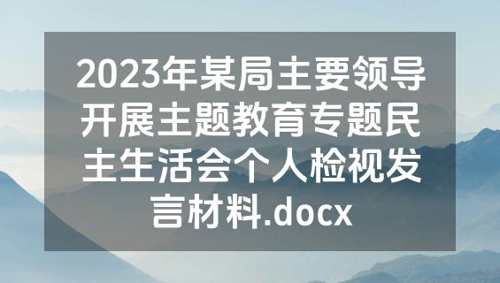 2023年某局主要领导开展主题教育专题民主生活会个人检视发言材料.docx