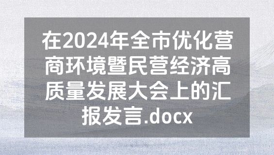 在2024年全市优化营商环境暨民营经济高质量发展大会上的汇报发言.docx
