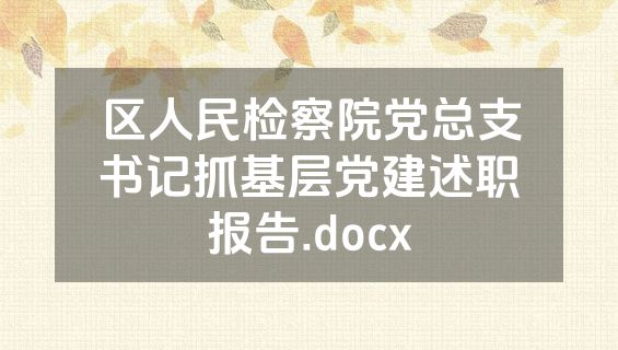 区人民检察院党总支书记抓基层党建述职报告.docx