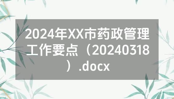2024年XX市药政管理工作要点（20240318）.docx